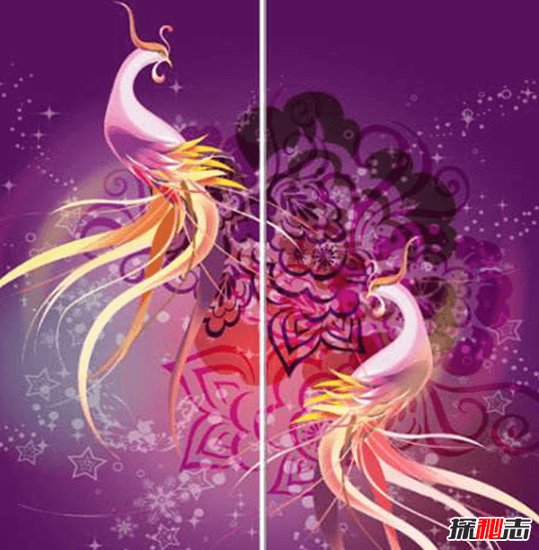 古代五凤指的是什么?传说中的五凤图片(鸑鷟身为黑或紫色的凤凰)