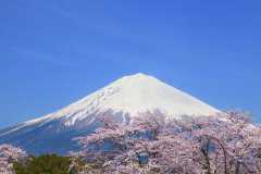 樱岛火山爆发，可能引动富士山（超级火山）