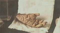 57年浙江村民发现“野人” 村民将之打死